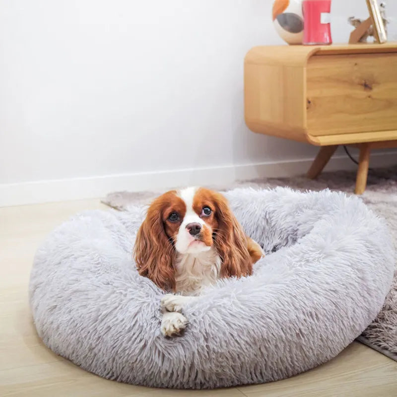 Soothing dog bed, washable, ideal for all dog sizes.