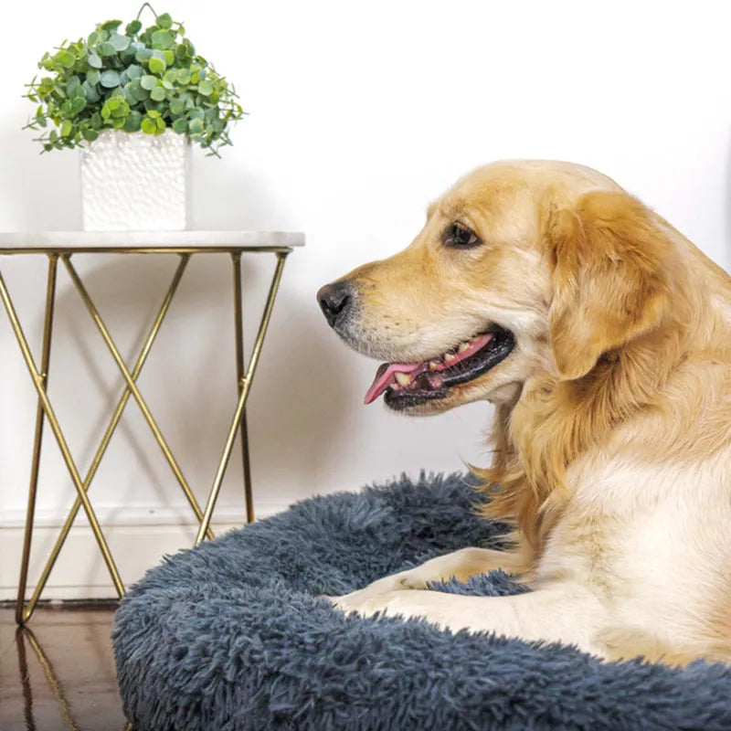 Soothing dog bed, washable, ideal for all dog sizes.