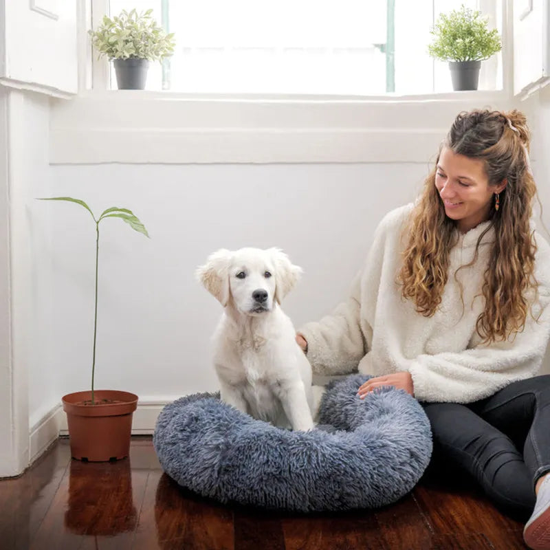 Soothing dog bed, washable, ideal for all dog sizes.